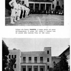 Palestra esterno