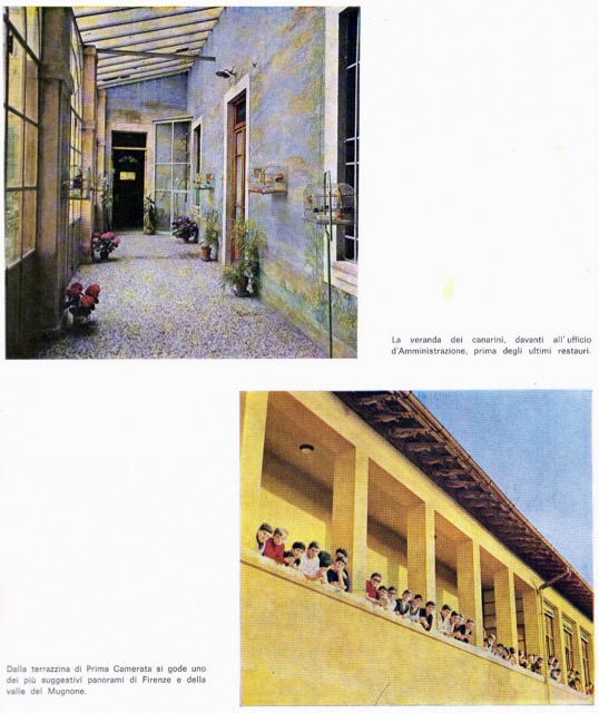 Voliera