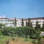 Panorana